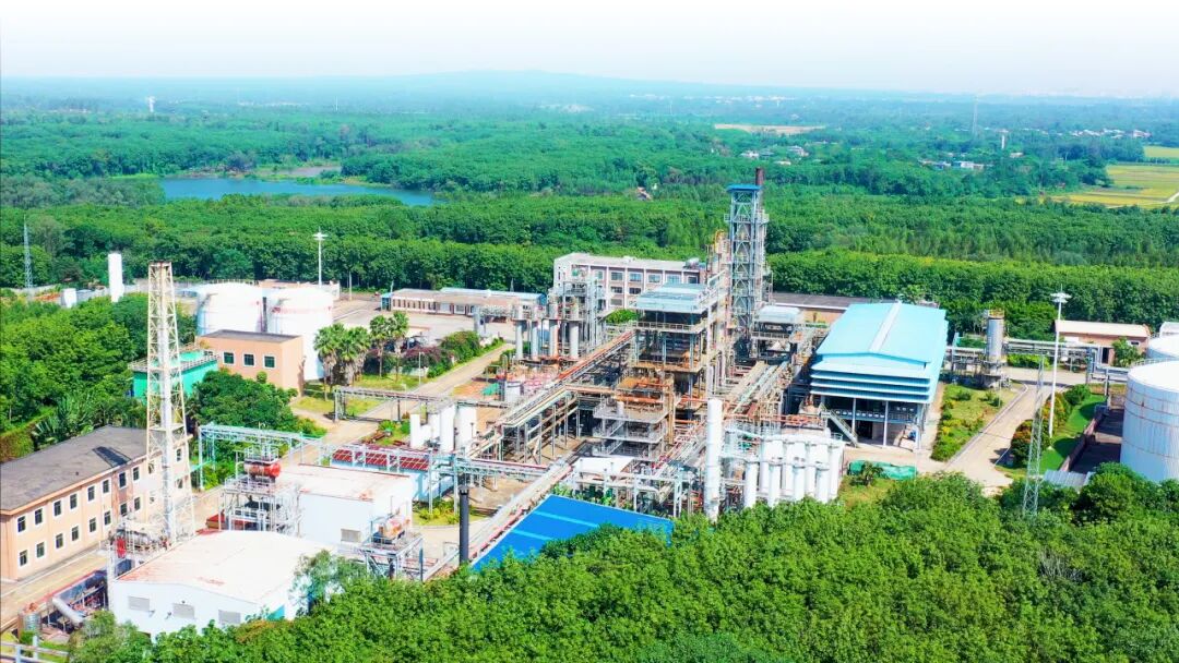 1762947478226530.jpg 1111图片1.jpg